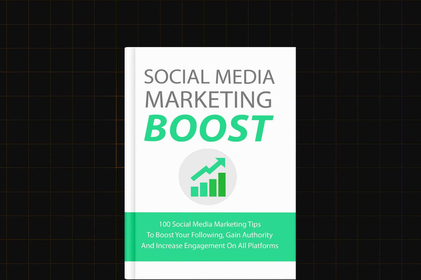 Social Media Marketing Boost