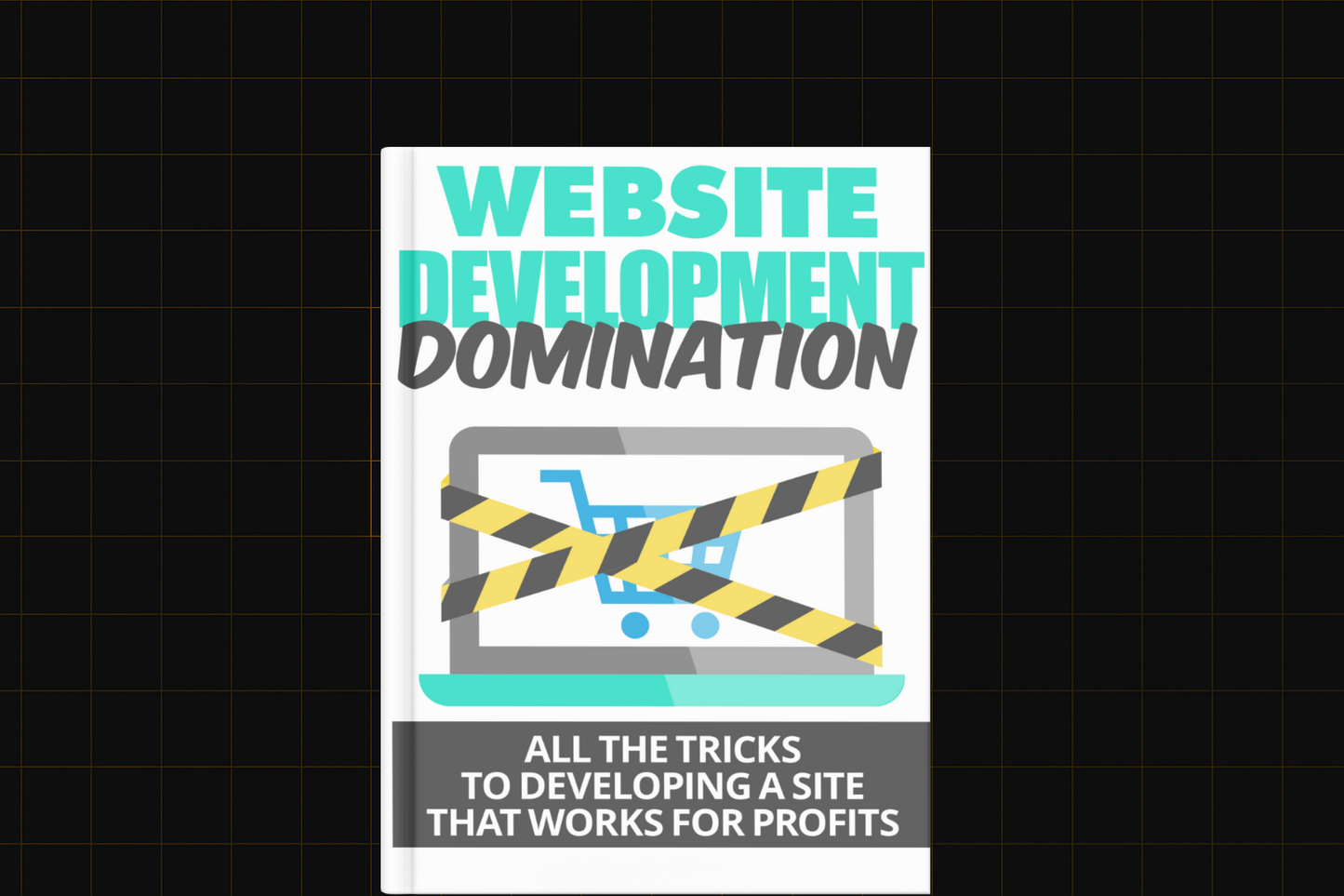 Website Development Domination