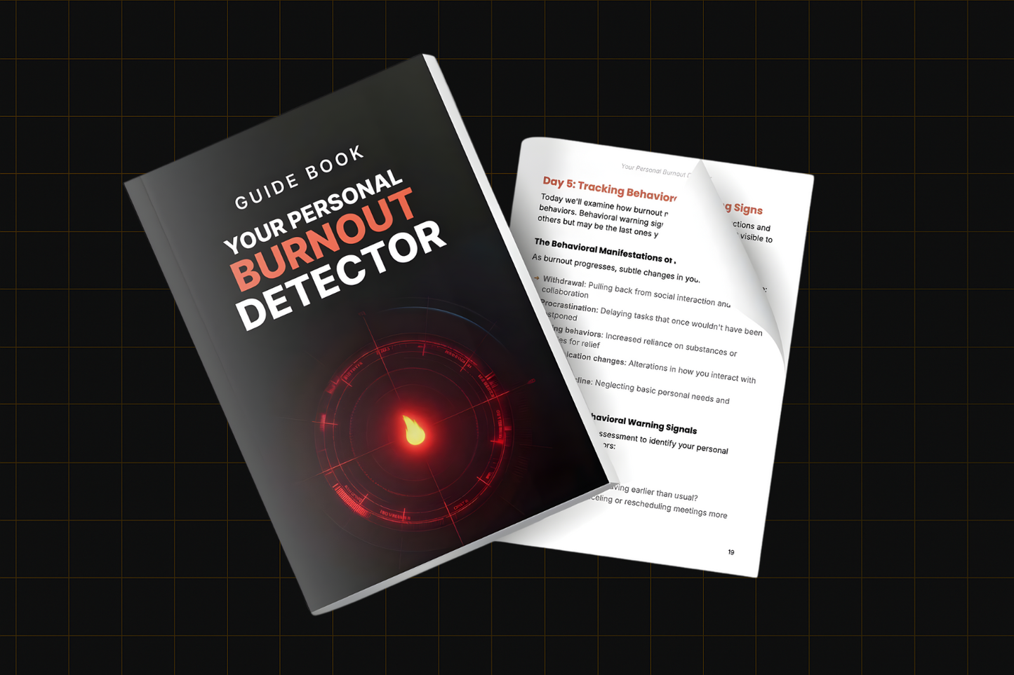Executive Burnout Recovery Program