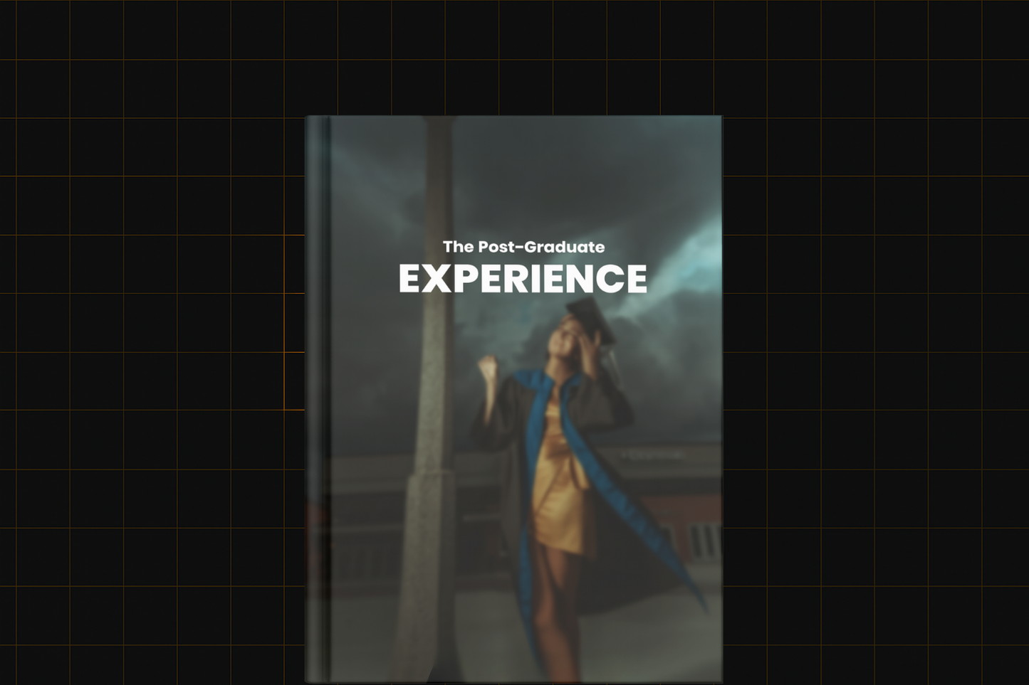 The Post-Graduate Experience