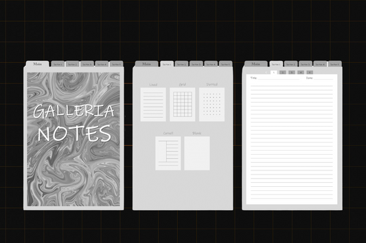 Galleria Notes 3