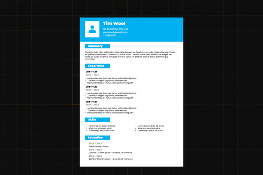 EZ Resume Template 2