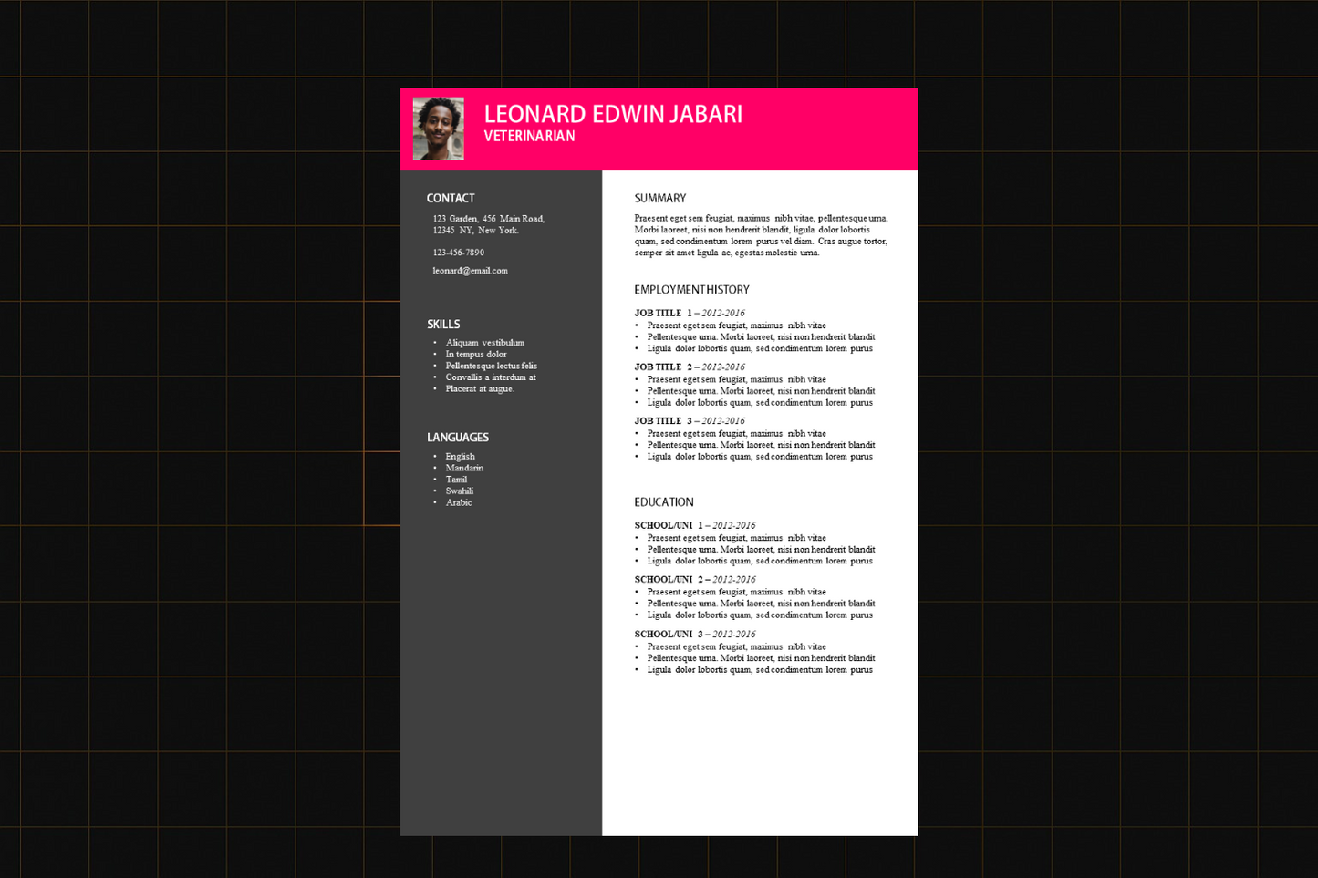 EZ Resume Template 8