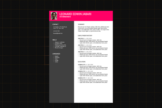 EZ Resume Template 8