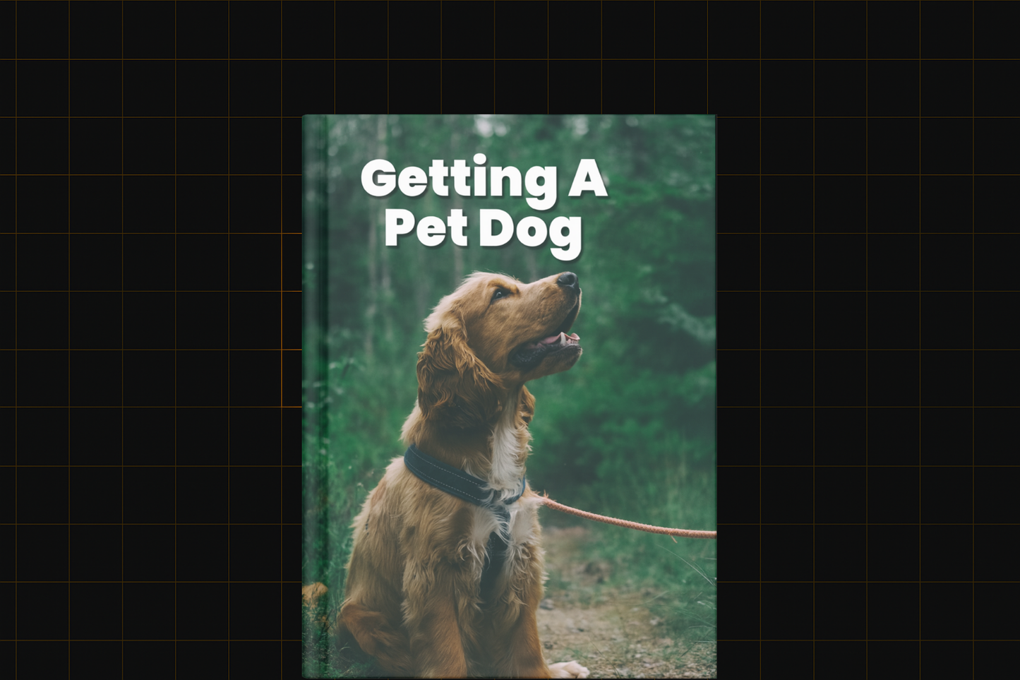 Getting A Pet Dog