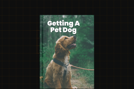 Getting A Pet Dog