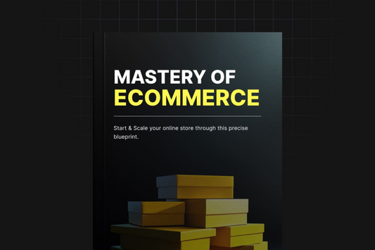 Mastery of Ecommerce