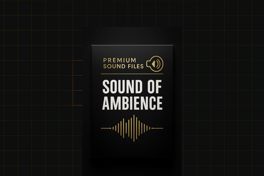 The Big Ambient 1